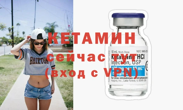 шишки Верея