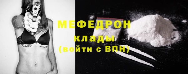 шишки Верея