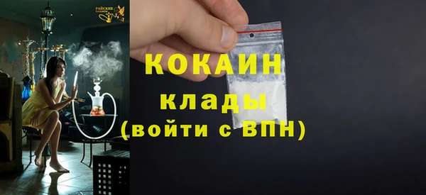 шишки Верея