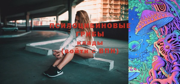 шишки Верея