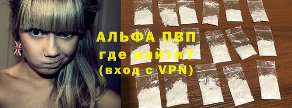 шишки Верея
