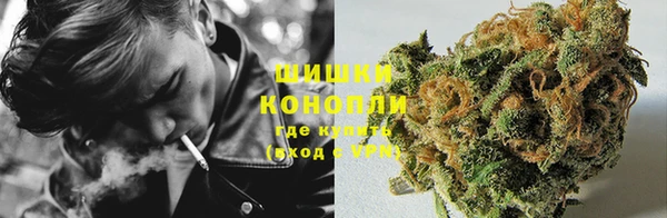 шишки Верея