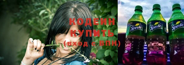 шишки Верея