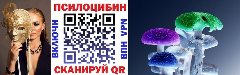 Псилоцибиновые грибы MAGIC MUSHROOMS  даркнет клад  Вилюйск 